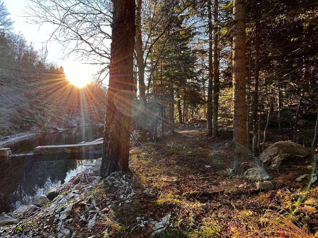 Swissotel Uludag Бурса Съоръжения снимка